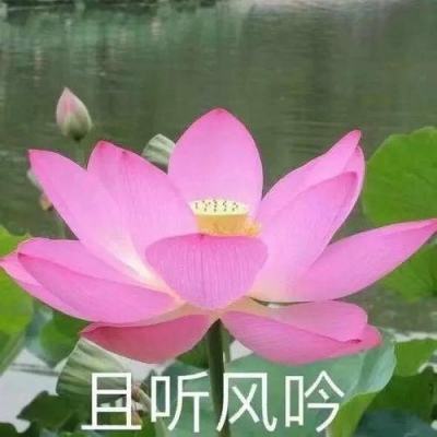 【境内疫情观察】北京新增5例本土病例（1月20日）